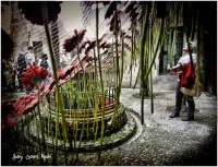 /album/fotogaleria-girona/mg-8918-640x480-jpg/
